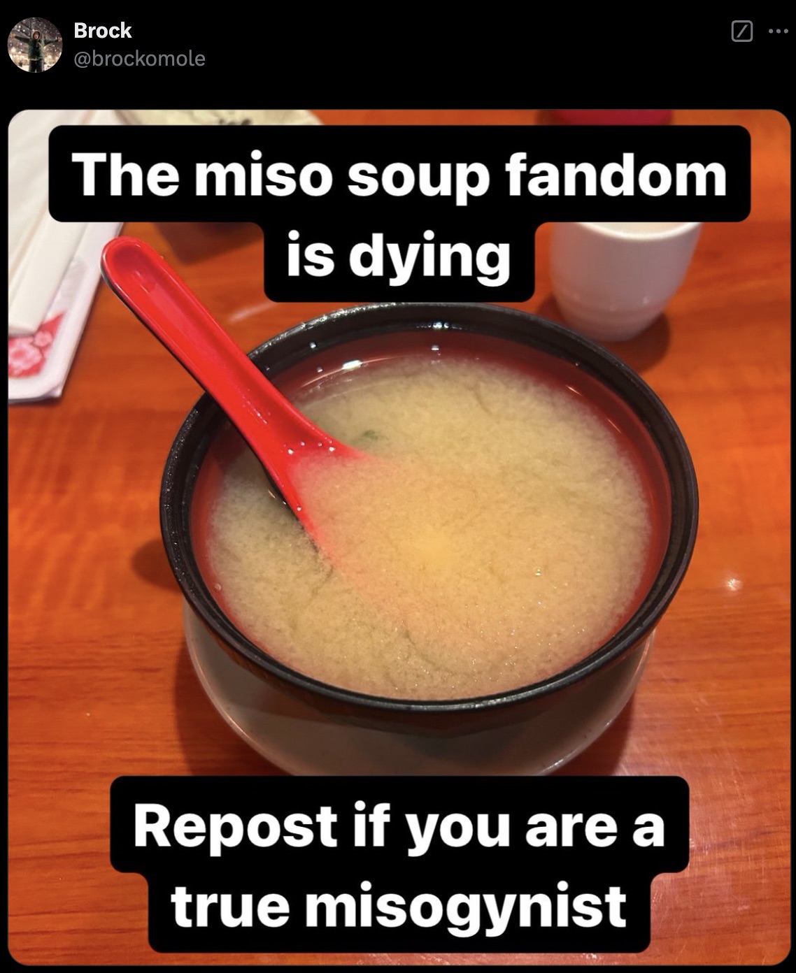 slush - Brock The miso soup fandom is dying Repost if you are a true misogynist